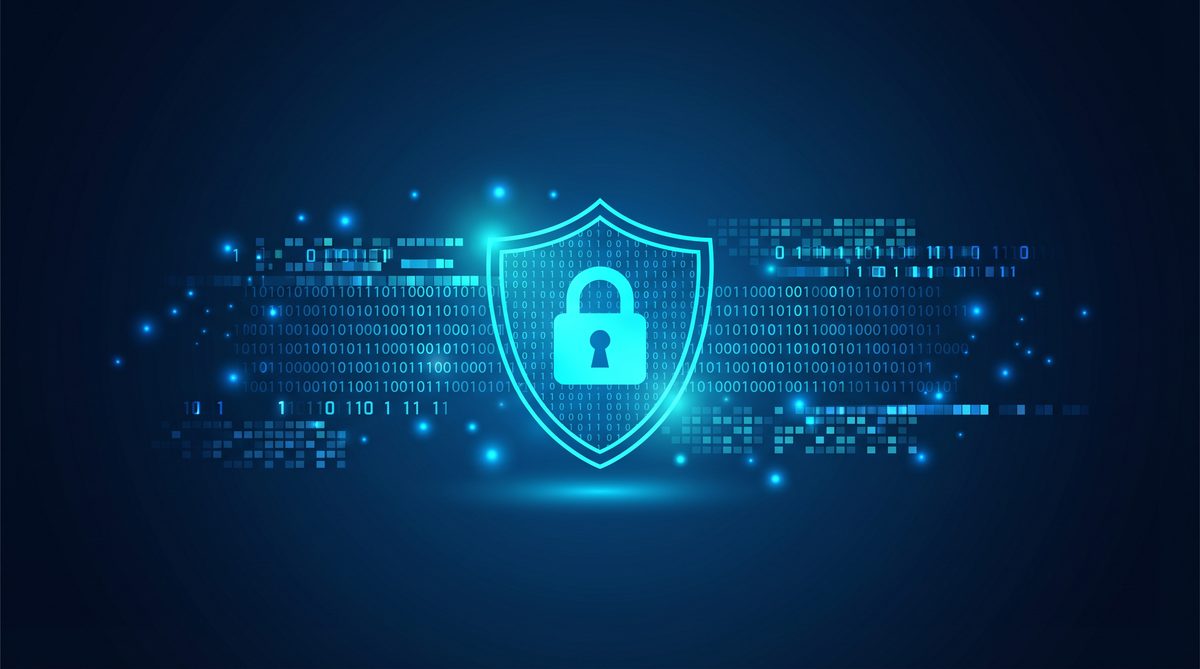 黑庭加速器隐私安全保护